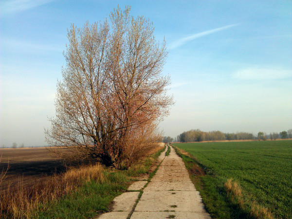 Miesto uloženia kešky je hneď vedľa areálu.